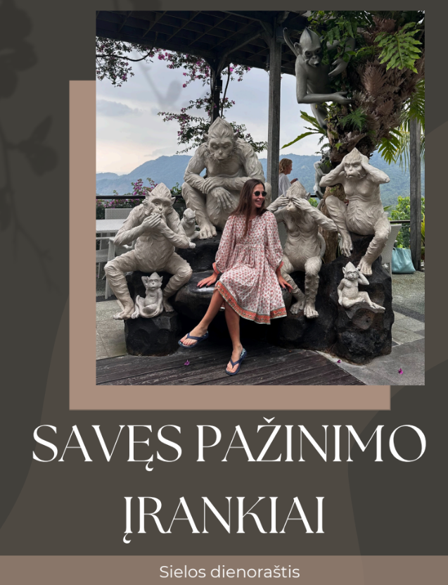 Sielos dienoraštis: praktinis savipagalbos ir savęs pažinimo gidas